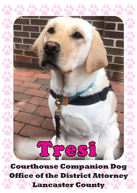 0889-20-133413 COL Victim Witness CardNC-1